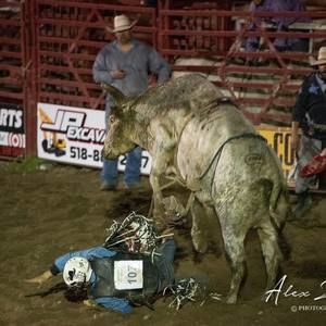 Meet your Posher, Hayden